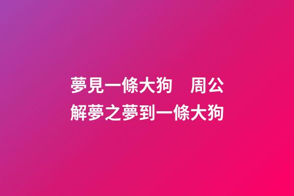 夢見一條大狗　周公解夢之夢到一條大狗